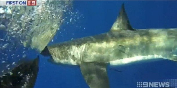 The Gorge features a timeless rugged beauty. This is special country for all native sportfishermen.